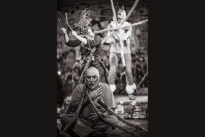 Unicorn in the Forest