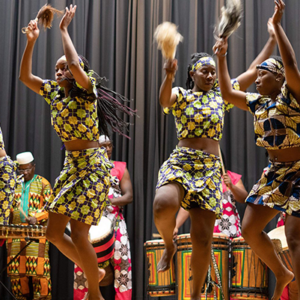 SHAE Movement African Arts