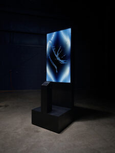 Alexander Newman Hall