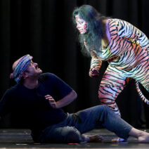 Hattimatim-Team 2026